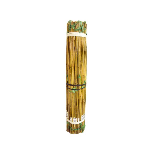 Tutor Bambu 150cm