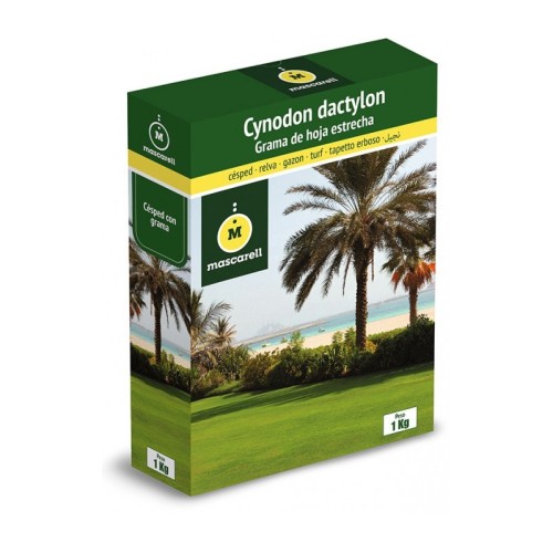 Semilla de Grama de Hoja Estrecha Cynodon Dactylon 250g