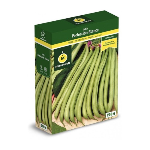 Semilla de Judia Perfeccion Blanca 250g