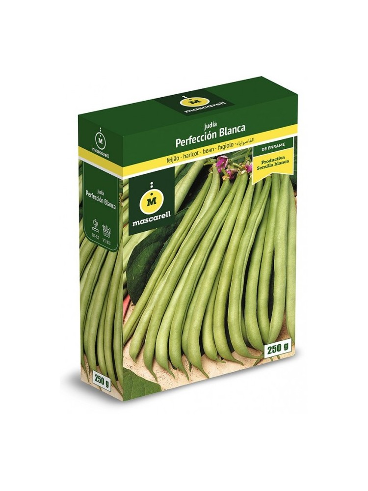 Semilla de Judia Perfeccion Blanca 250g Semilla de Judia Perfeccion Blanca 250g