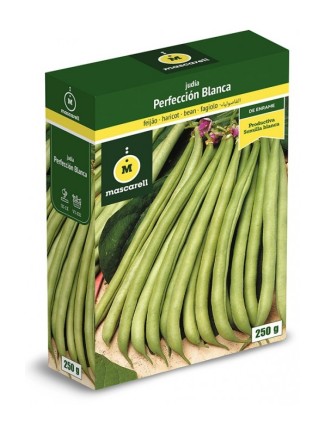 Semilla de Judia Perfeccion Blanca 250g