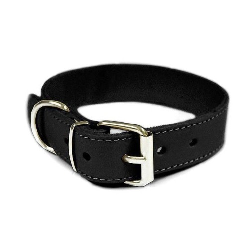 Collar Perro de Cuero Negro (1,5x35cm)