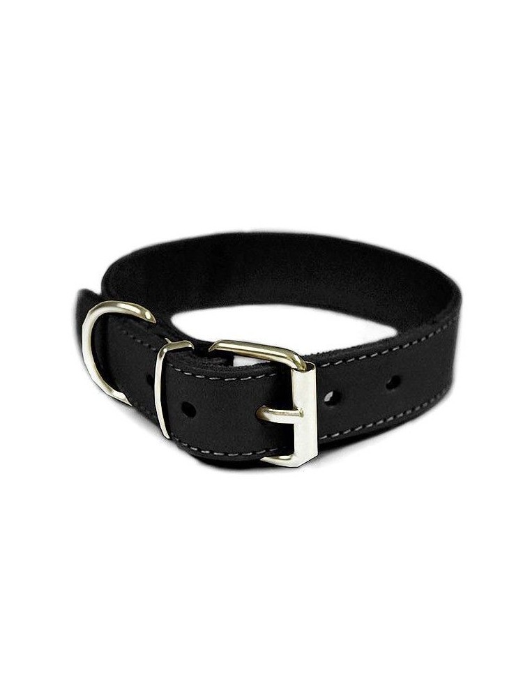 Collar Perro de Cuero Negro (2,5x55cm)