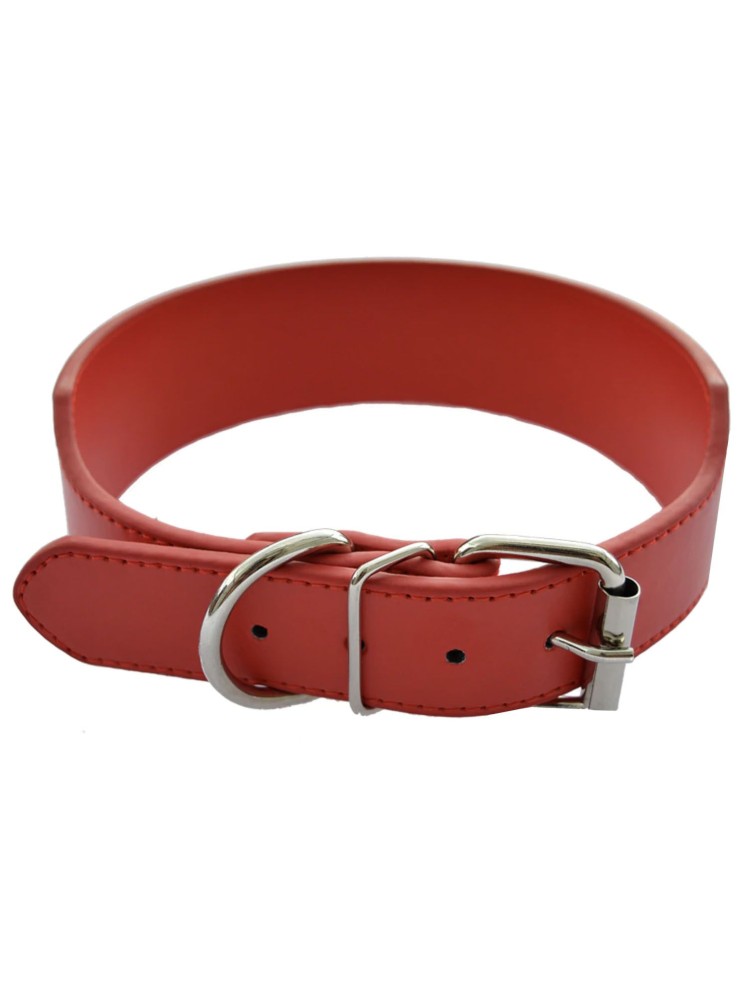 Collar Perro de Cuero Rojo (2,5x55cm)
