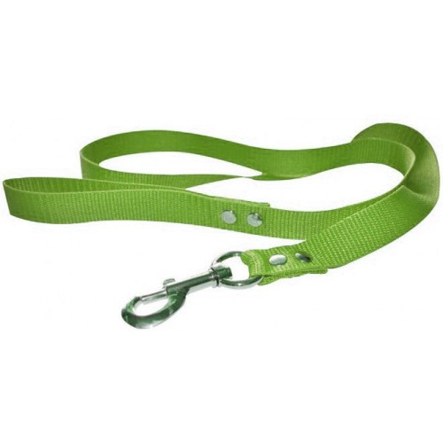 Correa Perro de Nylon Verde (1,5x120cm)