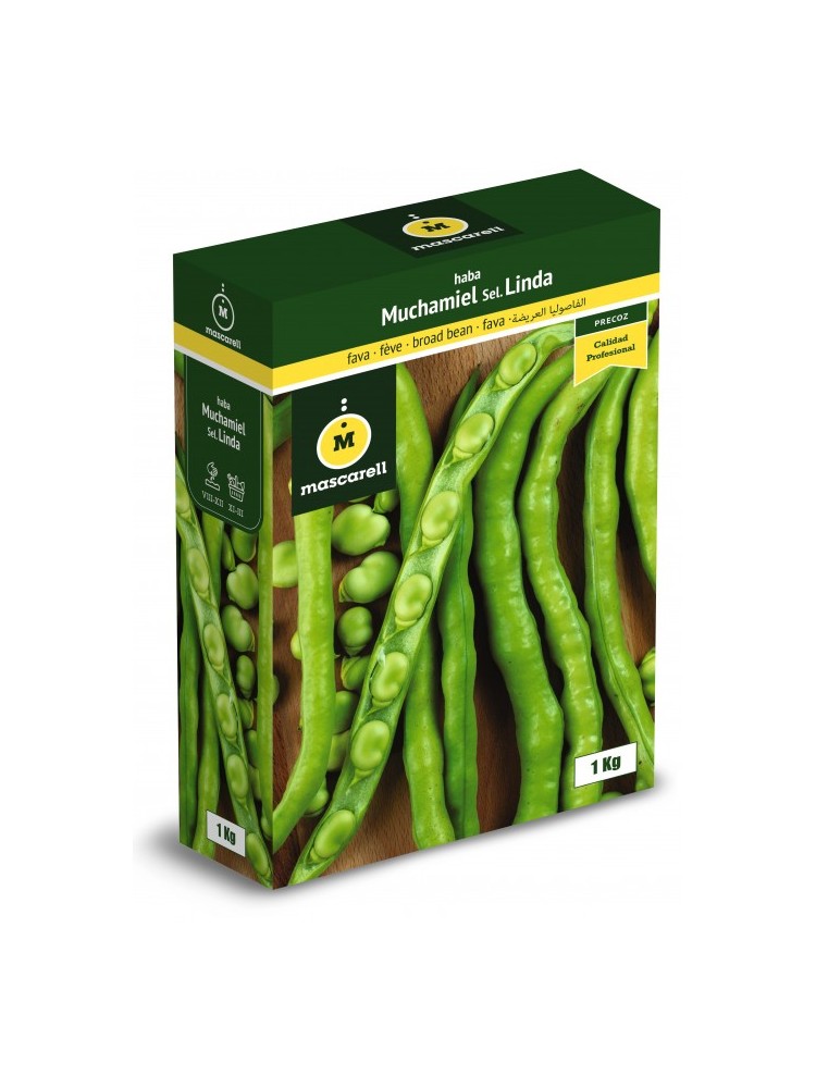 Semillas de Haba Muchamiel 250g Semillas de Haba Muchamiel 250g