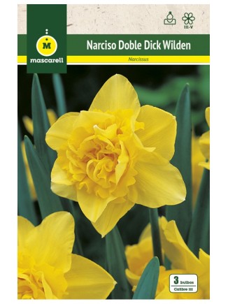 Narciso Dick Wilden