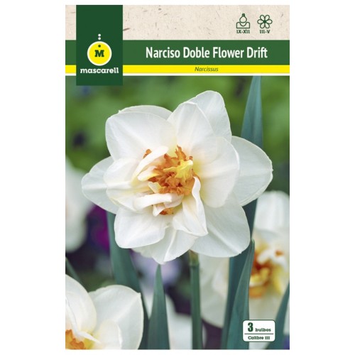 Narciso Flower Drift