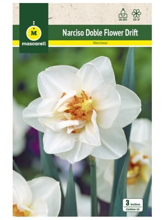 Narciso Flower Drift