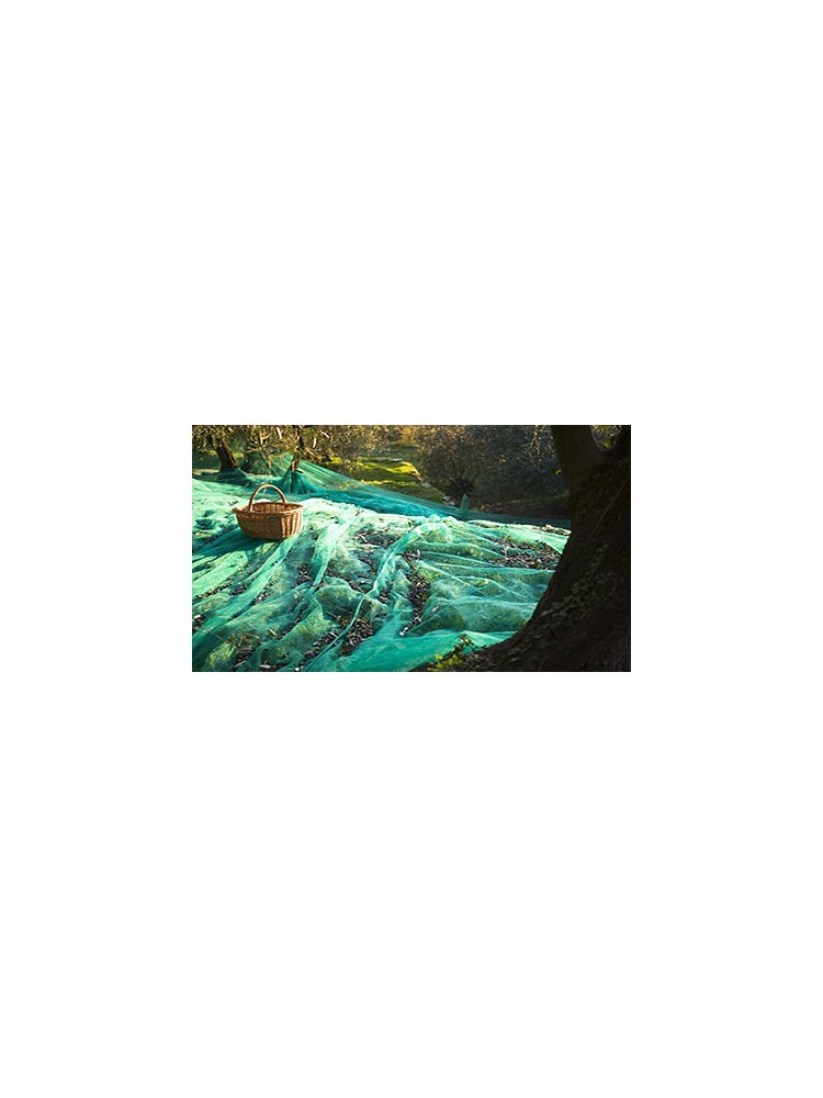 Manta Malla Negro Recogida Pack 6x12m (72m2) Manta Malla Negro Recogida Pack 6x12m (72m2)