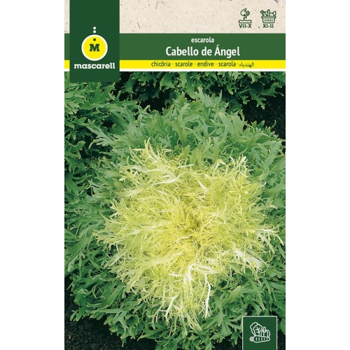 Semilla de Escarola Cabello de Angel 8g