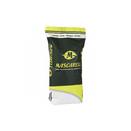 Semilla de Haba Aguadulce sel. Mezquita 5Kg