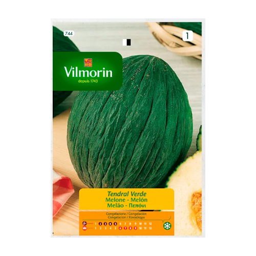 Semillas de Melon Tendral Verde