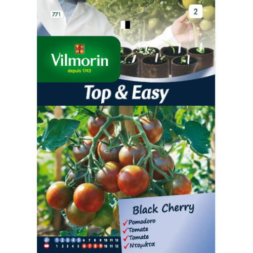 Semillas de Tomate Black Cherry