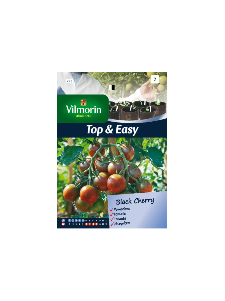 Semillas de Tomate Black Cherry Semillas de Tomate Black Cherry