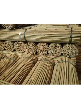 Tutor Bambu Natural 1,20m/20-22mm