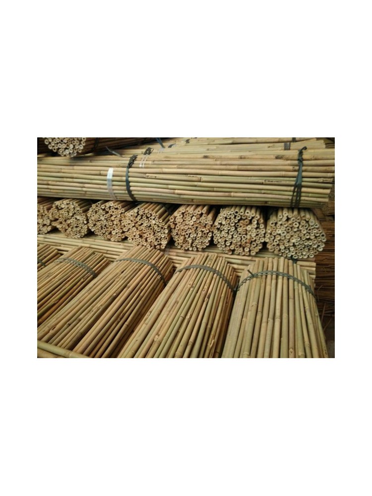 Tutor Bambu Natural 2,10m/16-18mm Tutor Bambu Natural 2,10m/16-18mm