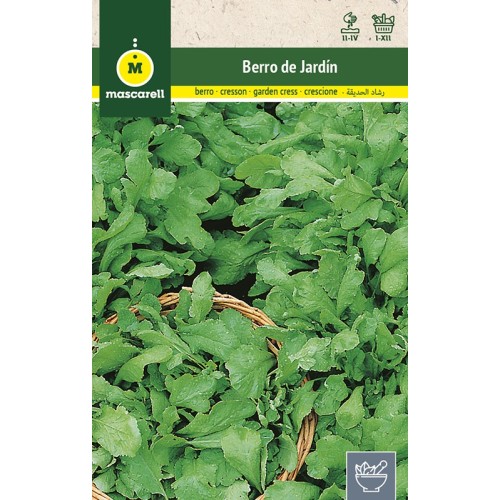 Semilla de Berro de Jardín