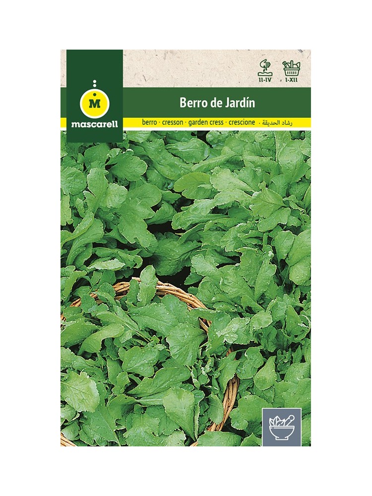 Semilla de Berro de Jardín Semilla de Berro de Jardín