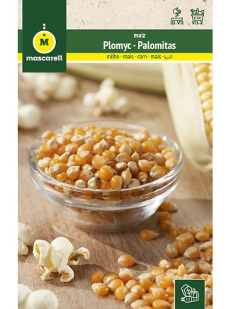 Maiz Palomitas 25g