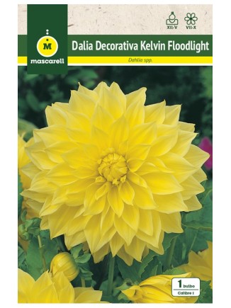 Dalia Decorativa Kelvin Floodlight