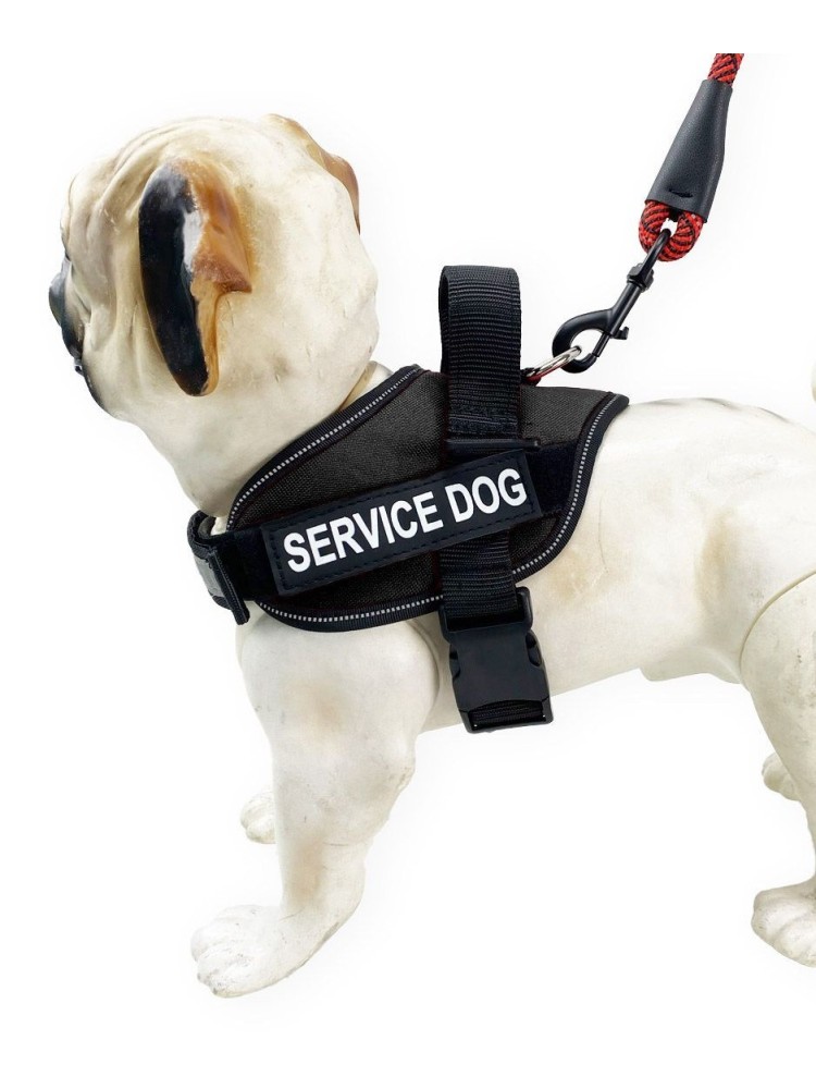 Arnes Acolchado Perro Talla XS (60-75cm) Negro Regulable Arnes Acolchado Perro Talla XS (60-75cm) Negro Regulable
