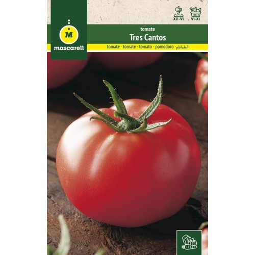 Semillas de Tomate Tres Cantos 1g