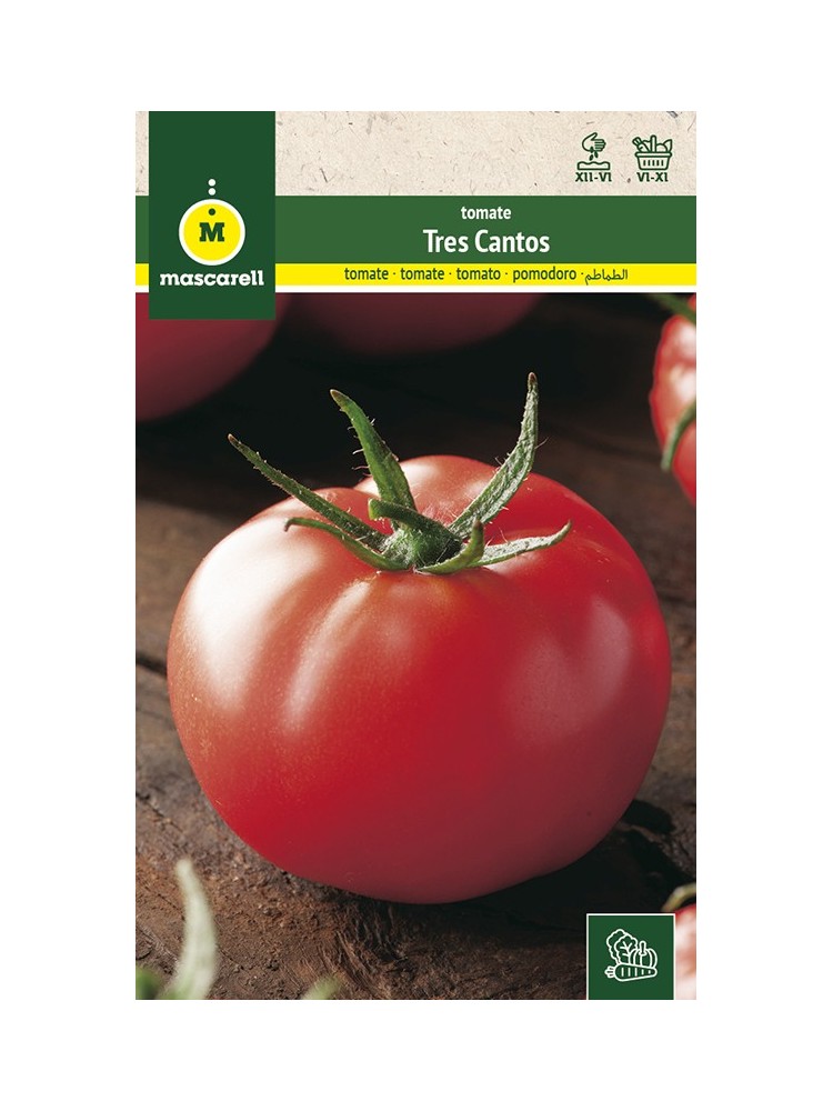 Semillas de Tomate Tres Cantos 1g Semillas de Tomate Tres Cantos 1g