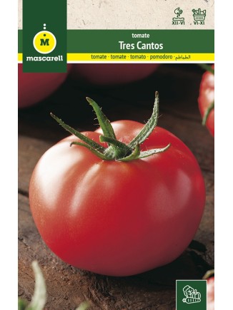 Semillas de Tomate Tres Cantos 1g