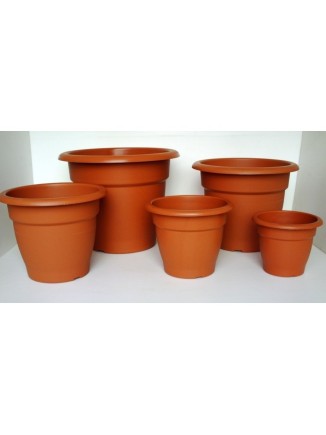 Campana Nº50 (53x36cm)