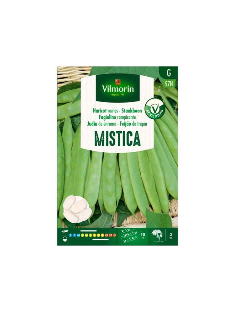 Semillas de Judia Mistica 80g Semillas de Judia Mistica 80g