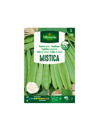 Semillas de Judia Mistica 80g