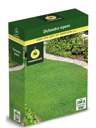 Semillas de Dichondra 100g