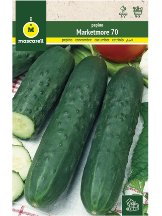 Semillas de Pepino Medio Largo Marketer 10g