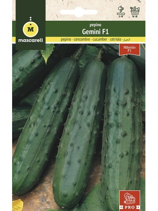 Semillas de Pepino Gemini F1 0,75g
