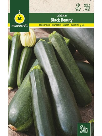 Semillas de Calabacin Black Beauty 25g