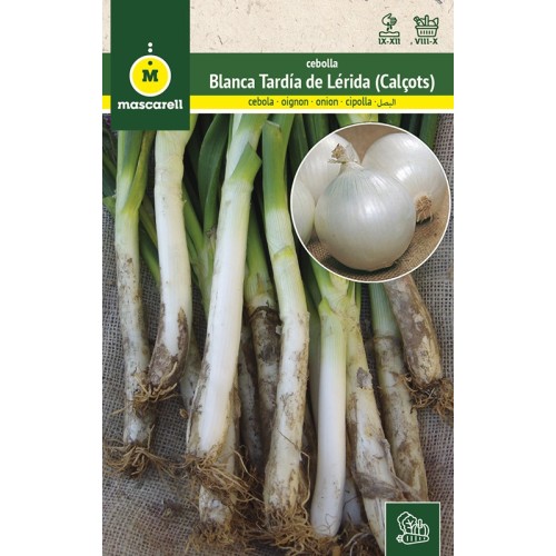Semillas de Cebolla Blanca Tardia (Calsots)