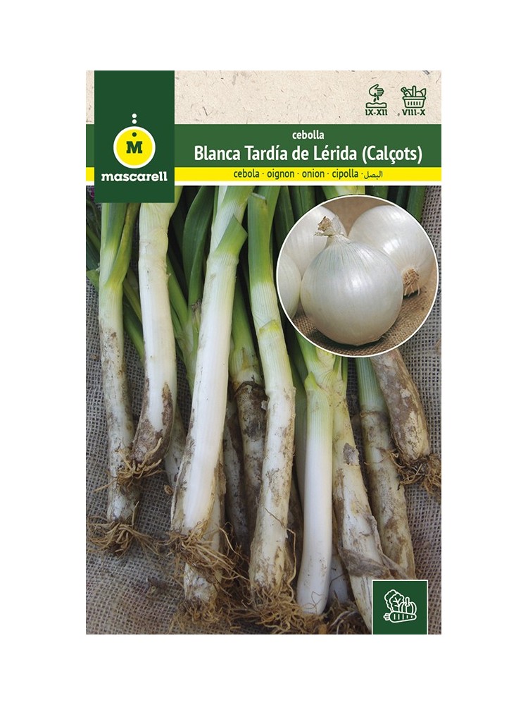 Semillas de Cebolla Blanca Tardia (Calsots)