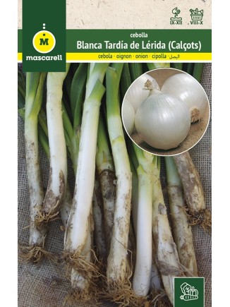 Semillas de Cebolla Blanca Tardia (Calsots)