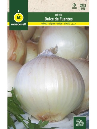 Semillas de Cebolla de Fuentes 25g