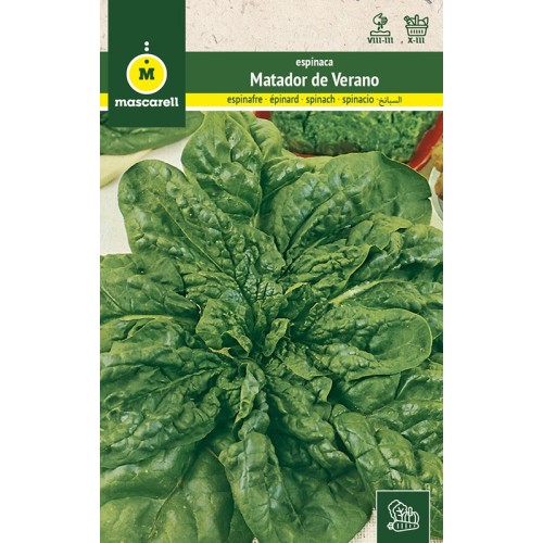 Semillas de Espinaca Matador de Verano 100g