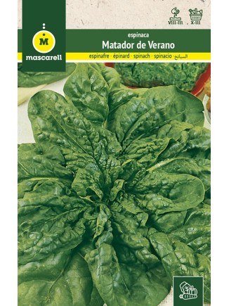 Semillas de Espinaca Matador de Verano 100g
