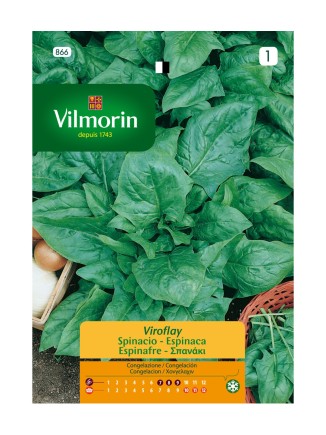 Semillas de Espinaca Viroflay