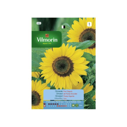 Semillas de Girasol de Flores Grandes