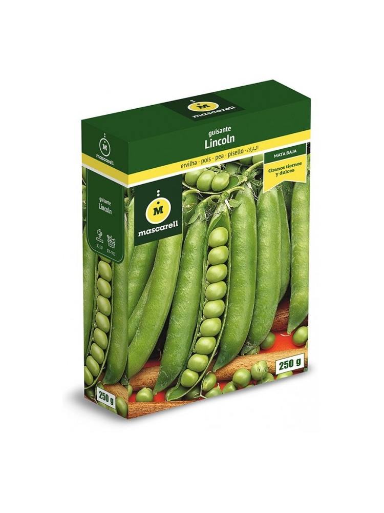 Semillas de Guisante Lincoln 250g Semillas de Guisante Lincoln 250g