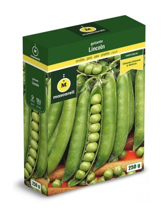 Semillas de Guisante Lincoln 250g