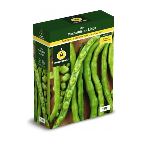 Semillas de Haba Muchamiel 250g