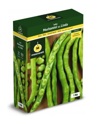 Semillas de Haba Muchamiel 250g