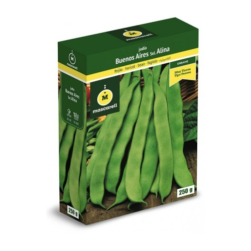 Semillas de Judia Buenos Aires 250g