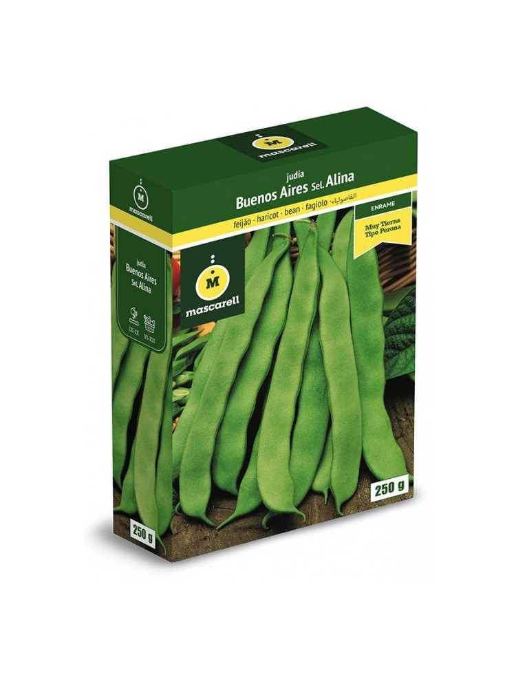 Semillas de Judia Buenos Aires 250g Semillas de Judia Buenos Aires 250g